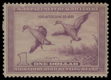 Picture of RW5 1938 Duck Stamp  Unsigned F-VF