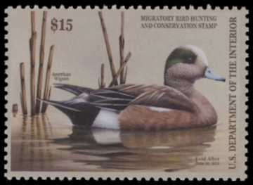 Picture of RW77 2010 Duck Stamp  MNH F-VF