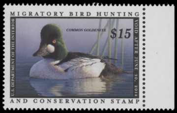 Picture of RW80 2013 Duck Stamp  MNH F-VF