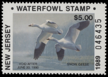 Picture of 1989 New Jersey NR Duck Stamp MNH VF