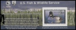 Picture of RW80A 2013 Duck Stamp  MNH F-VF