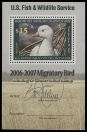 Picture of RW73B 2006 Duck Stamp  MNH F-VF