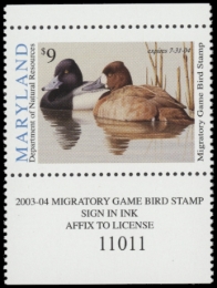 Picture of 2003 Maryland Duck Stamp MNH VF