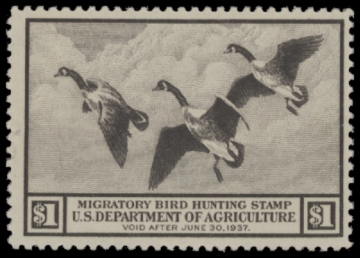 Picture of RW3 1936 Duck Stamp  MNH F-VF
