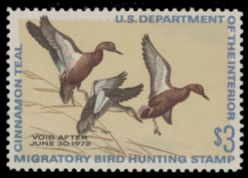 Picture of RW38 1971 Duck Stamp  MNH F-VF