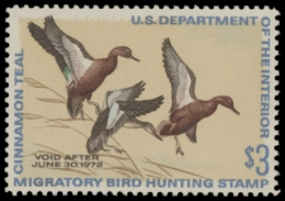 Picture of RW38 1971 Duck Stamp  MNH F-VF