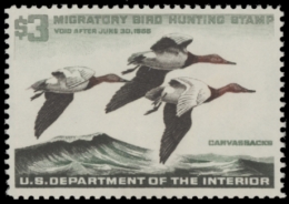 Picture of RW32 1966 Duck Stamp  MNH F-VF