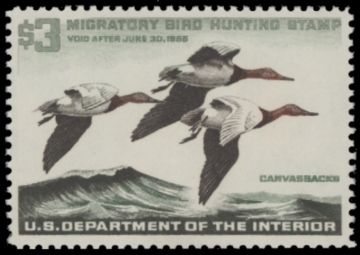 Picture of RW32 1966 Duck Stamp  MNH F-VF