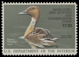 Picture of RW53 1986 Duck Stamp  MNH F-VF