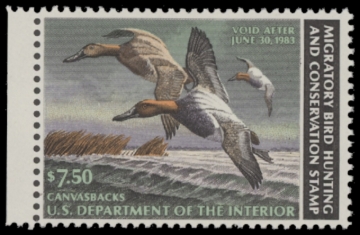 Picture of RW49 1982 Duck Stamp  MNH F-VF