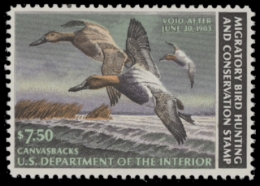Picture of RW49 1982 Duck Stamp  MNH F-VF
