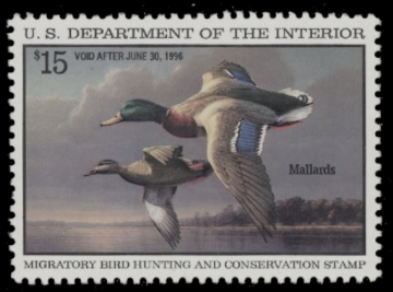 Picture of RW62 1995 Duck Stamp  MLH VF