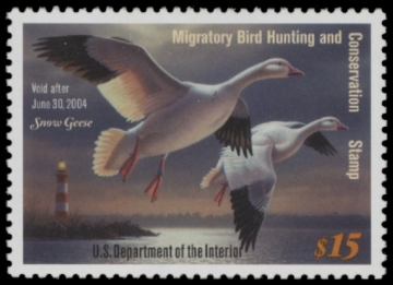 Picture of RW70 2003 Duck Stamp  MNH VF