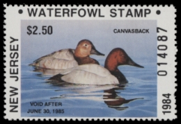 Picture of 1984 New Jersey Duck Stamp - First of State MNH VF