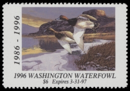Picture of 1996 Washington Duck Stamp MNH VF