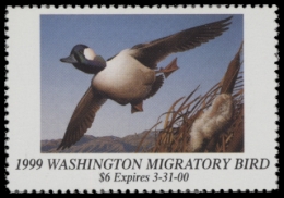 Picture of 1999 Washington Duck Stamp MNH VF