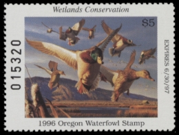 Picture of 1996 Oregon Duck Stamp MNH VF