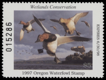 Picture of 1997 Oregon Duck Stamp MNH VF