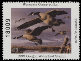 Picture of 1999 Oregon Duck Stamp MNH VF