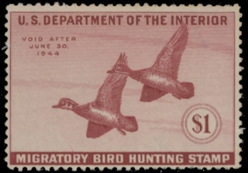 Picture of RW10 1943 Duck Stamp  Unsigned F-VF
