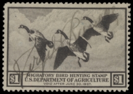 Picture of RW3 1936 Duck Stamp  Used F-VF