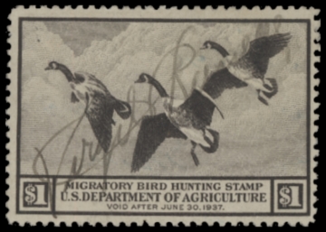 Picture of RW3 1936 Duck Stamp  Used F-VF
