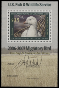 Picture of RW73B 2006 Duck Stamp  MNH F-VF