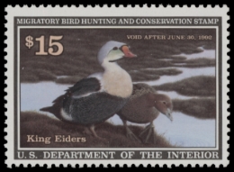 Picture of RW58 1991 Duck Stamp  MNH F-VF