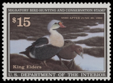 Picture of RW58 1991 Duck Stamp  MNH F-VF