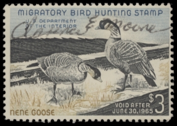 Picture of RW31 1964 Duck Stamp  Used F-VF