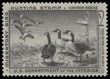 Picture of RW25 1958 Duck Stamp  MNH F-VF