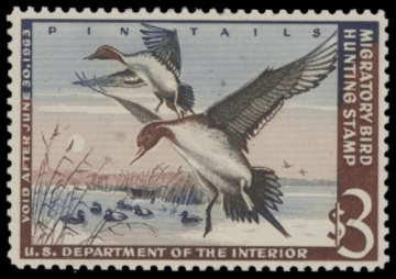 Picture of RW29 1962 Duck Stamp  MNH F-VF