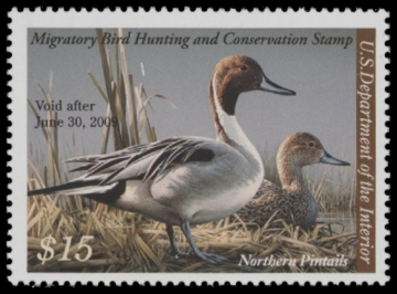 Picture of RW75 2008 Duck Stamp  MNH F-VF