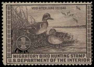 Picture of RW6 1939 Duck Stamp  Unsigned F-VF