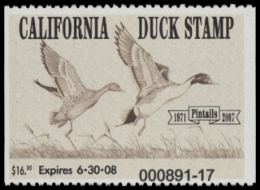 Picture of 2007 California Duck Stamp MNH VF