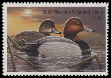 Picture of 2007 Wisconsin Duck Stamp MNH VF