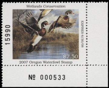 Picture of 2007 Oregon Duck Stamp MNH VF