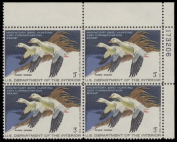 Picture of RW44 1977 Duck Stamp  MNH F-VF