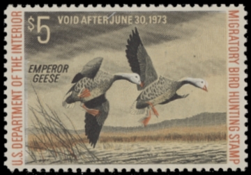 Picture of RW39 1972 Duck Stamp  MNH F-VF
