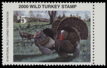 Picture of 2000 National Wild Turkey Federation Wild Turkey Stamp MNH VF
