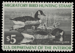 Picture of RW43 1976 Duck Stamp  MNH F-VF