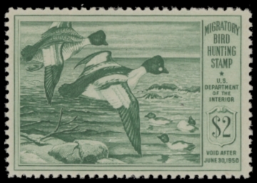 Picture of RW16 1949 Duck Stamp  MNH F-VF