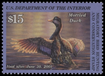 Picture of RW67 2000 Duck Stamp  MNH F-VF