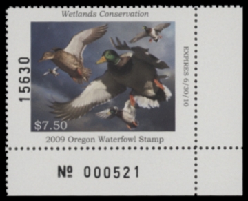 Picture of 2009 Oregon Duck Stamp MNH VF