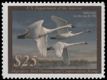 Picture of RW90 2023 Duck Stamp - Faults