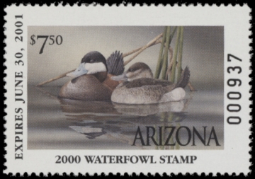 Picture of 2000 Arizona Duck Stamp