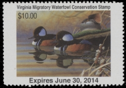 Picture of 2013 Virginia Duck Stamp