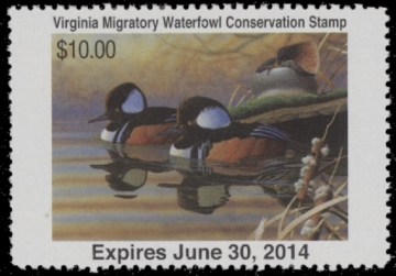 Picture of 2013 Virginia Duck Stamp