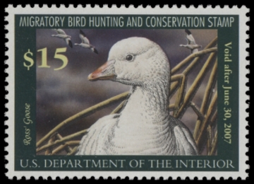 Picture of RW73 2006 Duck Stamp MNH. F-VF