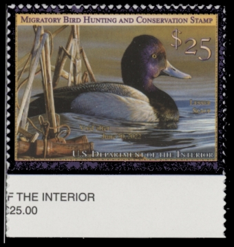 Picture of RW88 2021 Duck Stamp 